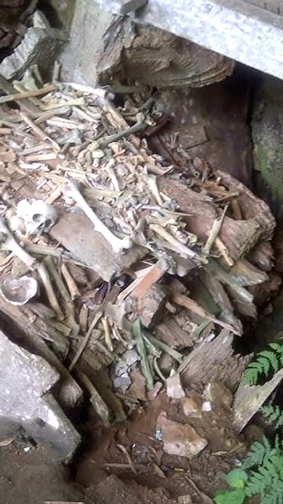 Mayat Pria Ditemukan Mengapung di Sungai Cakat, Lampung
