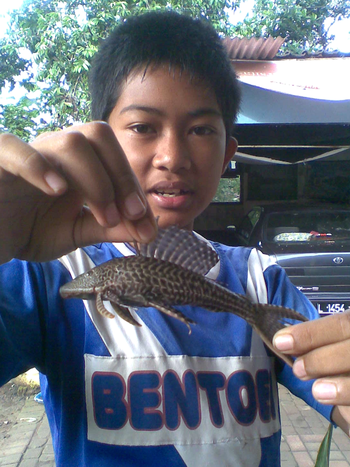 Memasak Ikan Sapu‑Sapu Tidak Selalu Hapus Logam Berat