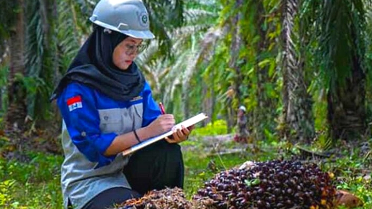 Menteri Dorong Pemda Terapkan Peraturan TBS Kelapa Sawit
