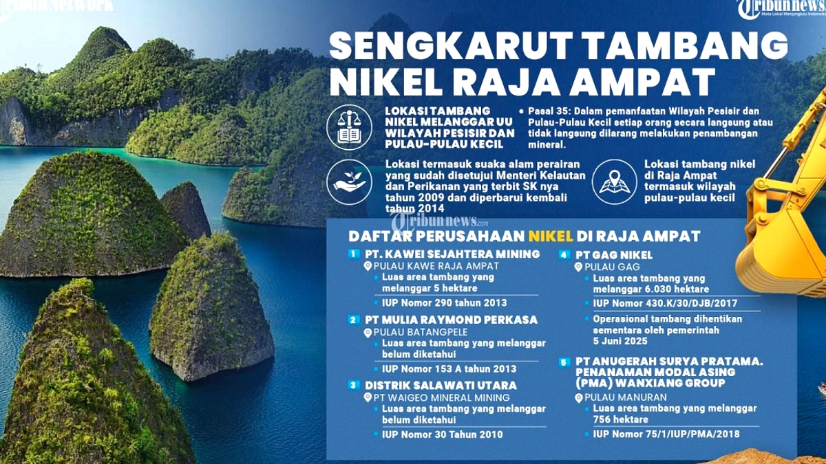 Menteri Energi Laporkan IUP Tambang Tidak Aktif di Istana