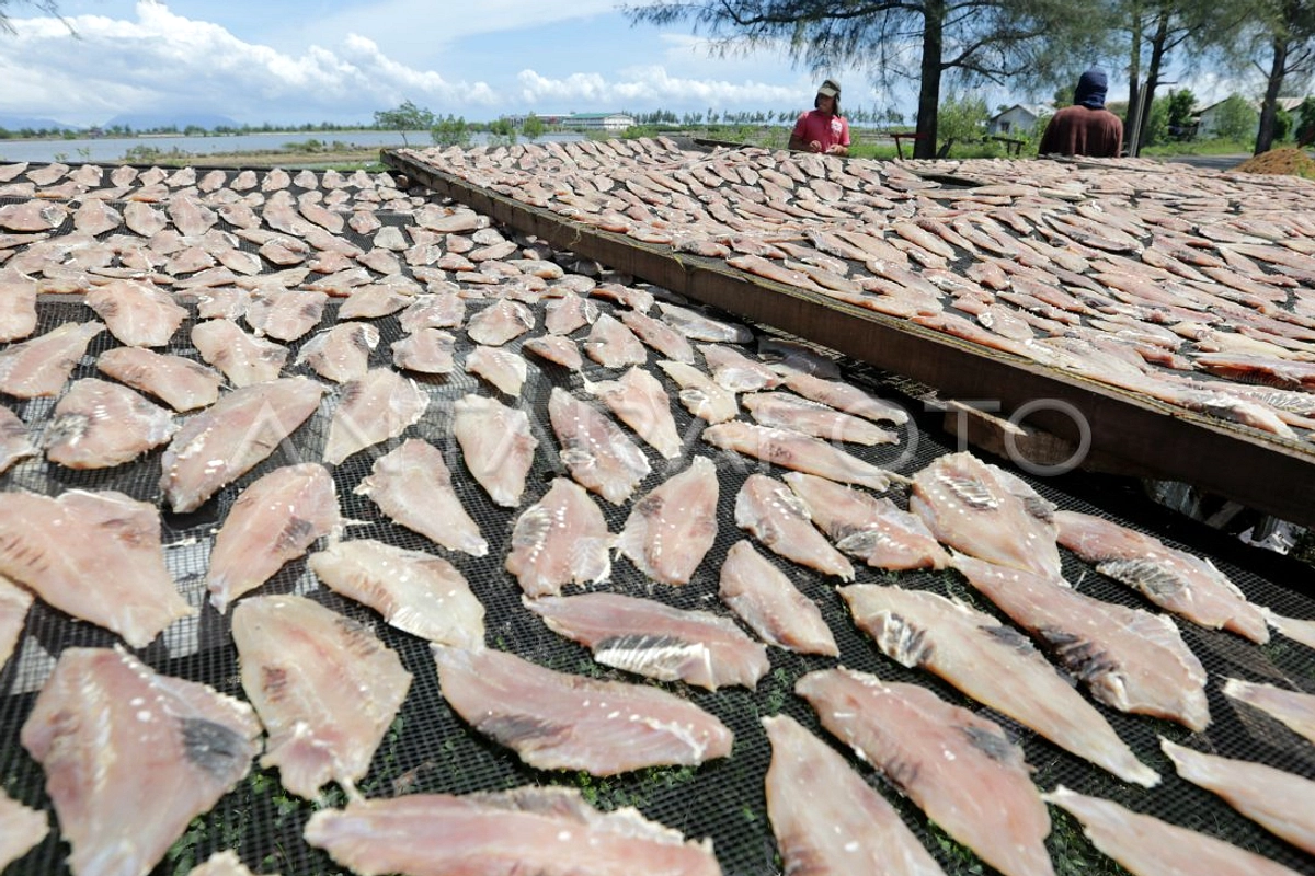 Menteri Keuangan Bahas Kontroversi Kuota Tilapia Danau Toba