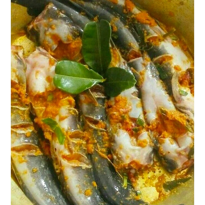 Menu Makan Bergizi Gratis di Pamekasan Dapat Sorotan Ahli Pangan