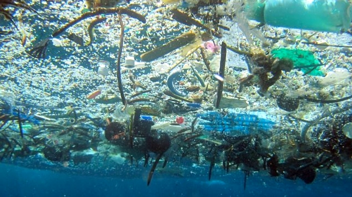 Mikroplastik Terdeteksi di Kulit Manusia Gresik, USG