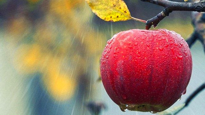 Mimpi Hujan Deras: Makna Spiritual dan Psikologis di Indonesia