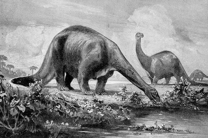 Mitos Minyak Berasal Dinosaurus: Fakta Alga dan Plankton