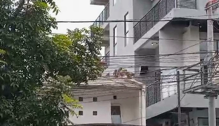 Monyet Liar Berkeliaran di Pusat Kota Bandung, Mengintai Warga