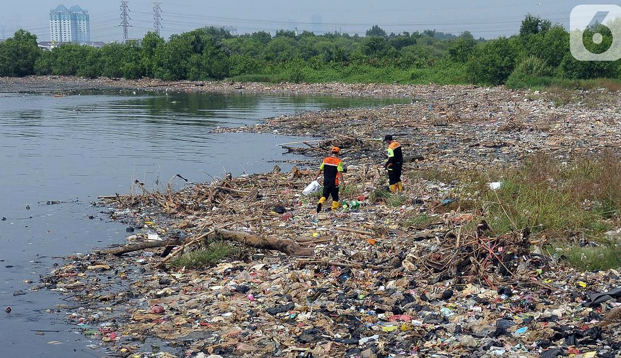 Muara Angke Bersih, Sampah Hulu Tetap Menyusul Juga