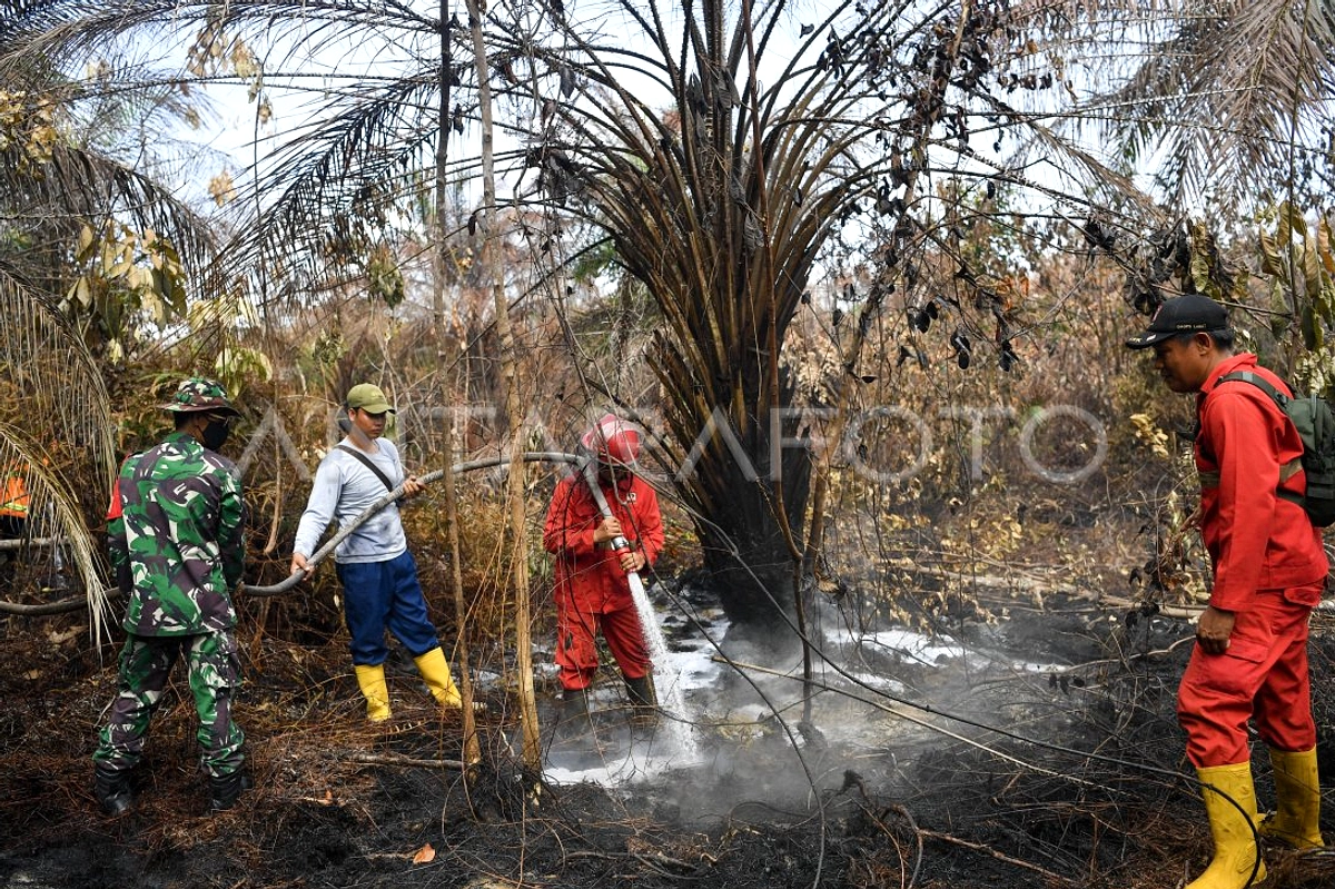 Muara Enim Siap Karhutla, Status Siaga Belum Ditentukan