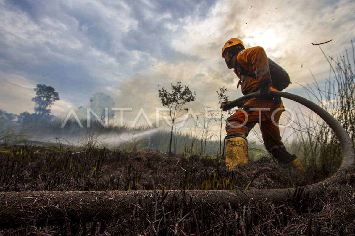 Muba Targetkan Penurunan 50 Persen Karhutla Tahun Ini