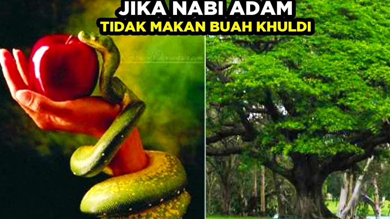 Muharram: Hari Taubat Nabi Adam Mendorong Kesempurnaan
