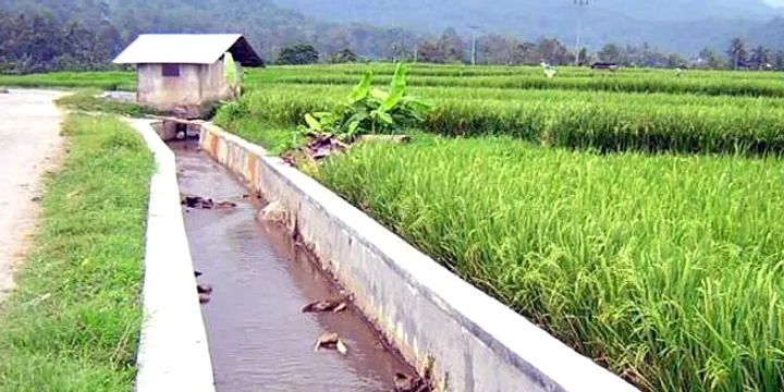 Musim Kemarau 2026 Ancam Pangan Tasikmalaya