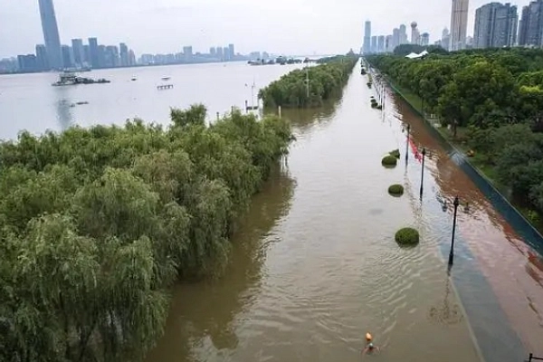 Nasi: Sejarah 9.000 Tahun Perkembangan Global, Dari Yangtze
