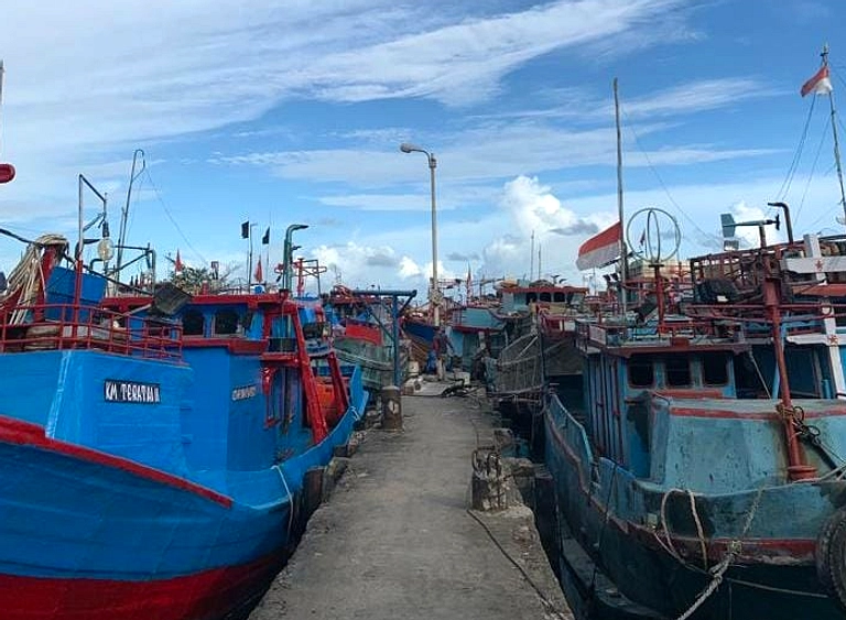 Nelayan Dapat Solar Rp15.000, Subsidi Ditanggung BPDP