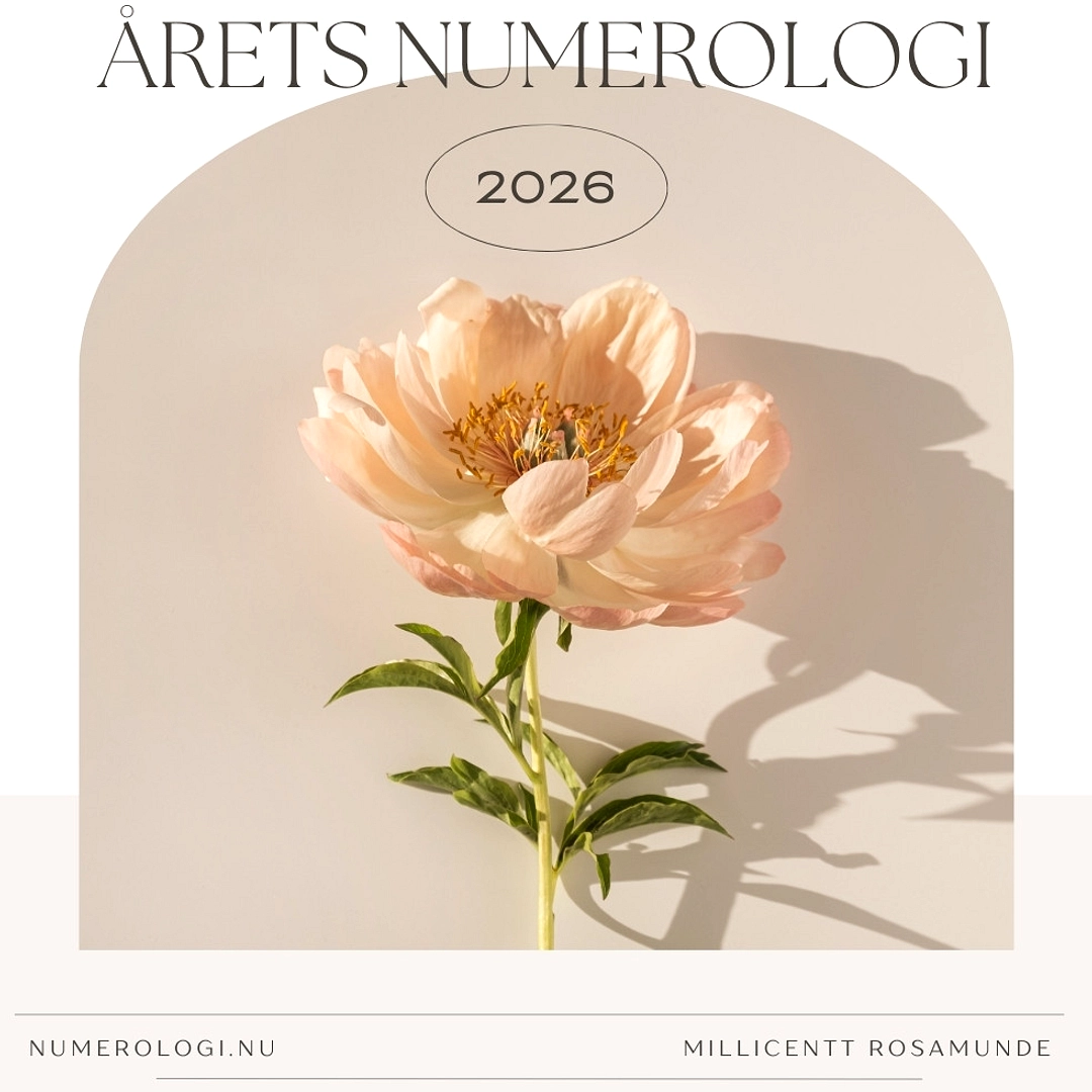 Numerologi 29 Maret 2026: Energi Hari dan Aktivitas Praktis