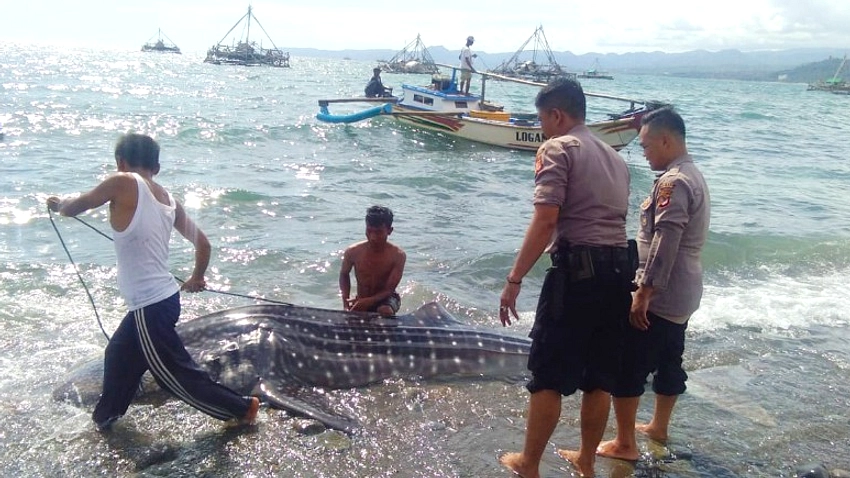 Nyalawena Palabuhanratu: Tradisi Memancing Ikan Impun