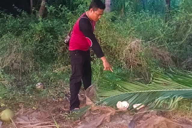 Ojek Pangkalan di Jombang Tak Makan Tanpa Kelapa Setiap Hari