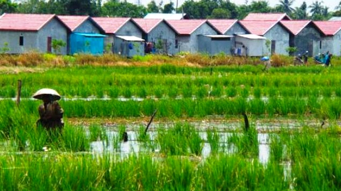 Ossy Dermawan: Solusi Lahan Sawah di Jawa Tengah 2026