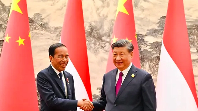 Panda Raksasa Indonesia Lahir: Simbol Persahabatan China
