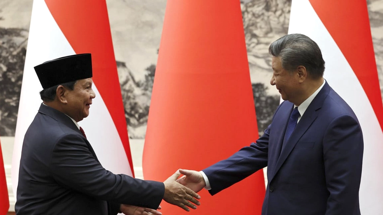 Panda Raksasa Rio Lahir dan Berkembang Pesat di Indonesia