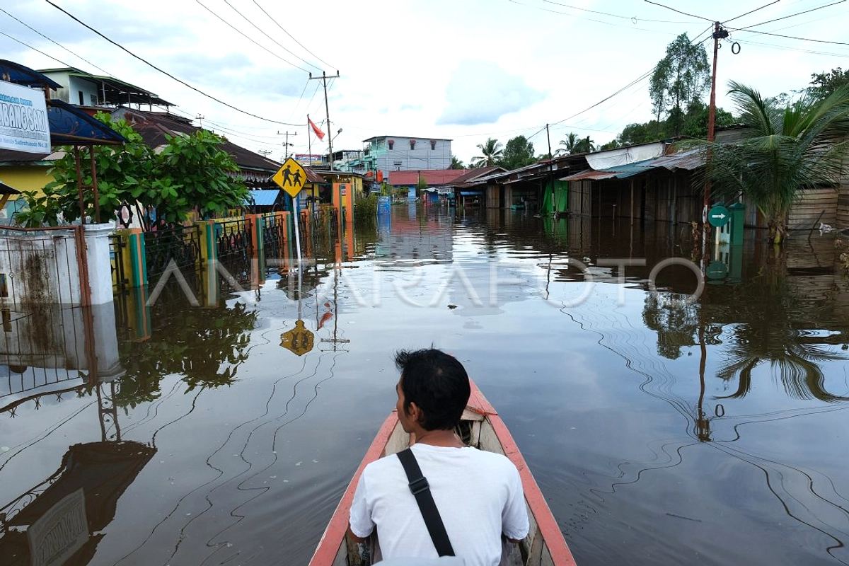 Panji Temukan Ular Cambuk Merah Endemik Kalimantan Barat