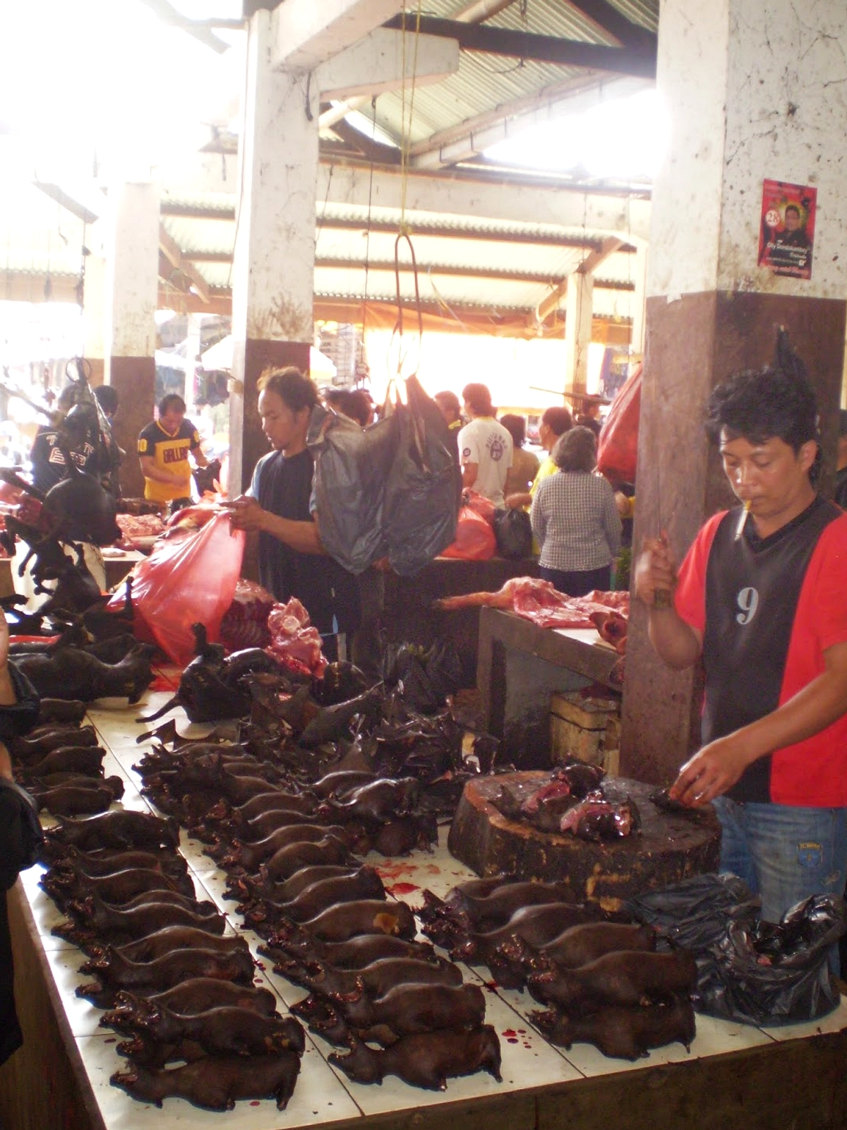 Pasar Beriman Tomohon Batasi Satwa Liar, Baru 2024