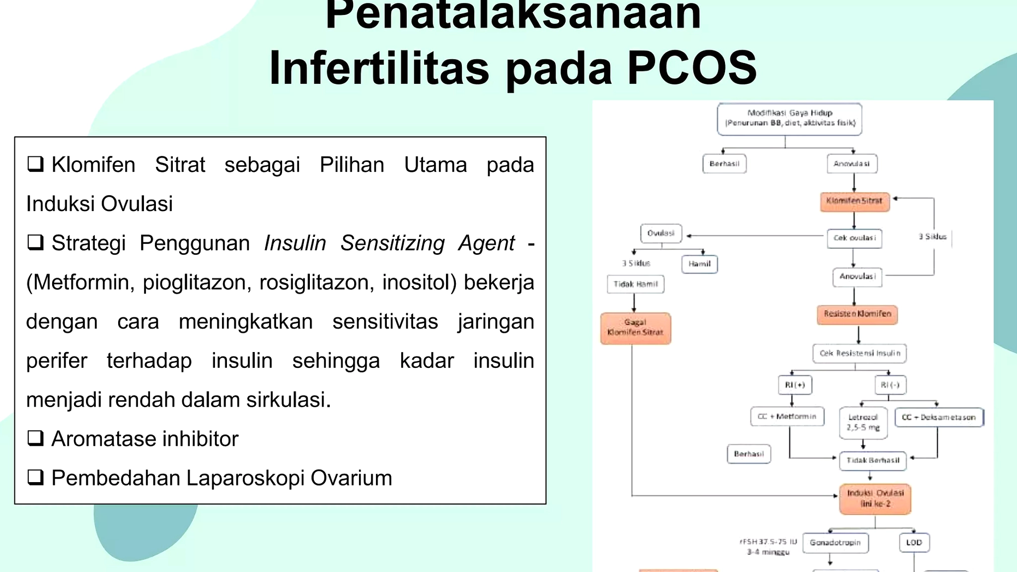PCOS Ganti Nama Jadi PMOS, Fokus Metabolisme Lebih Besar