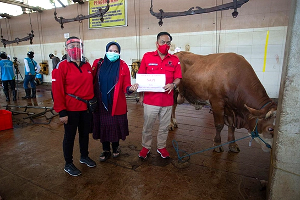 PDI Perjuangan Bagikan Daging Kurban ke Tukang Becak Bangkalan