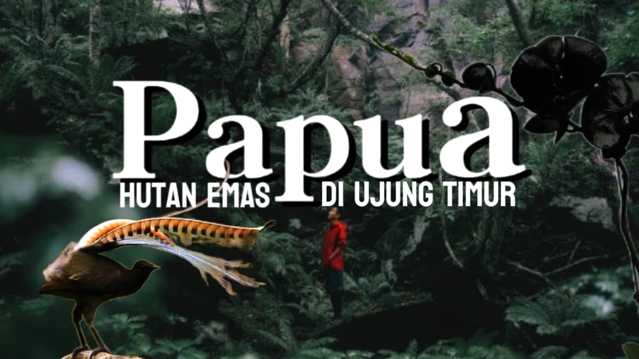 Pembangunan Pembangkit Surya di Kalimantan Terus Berjalan