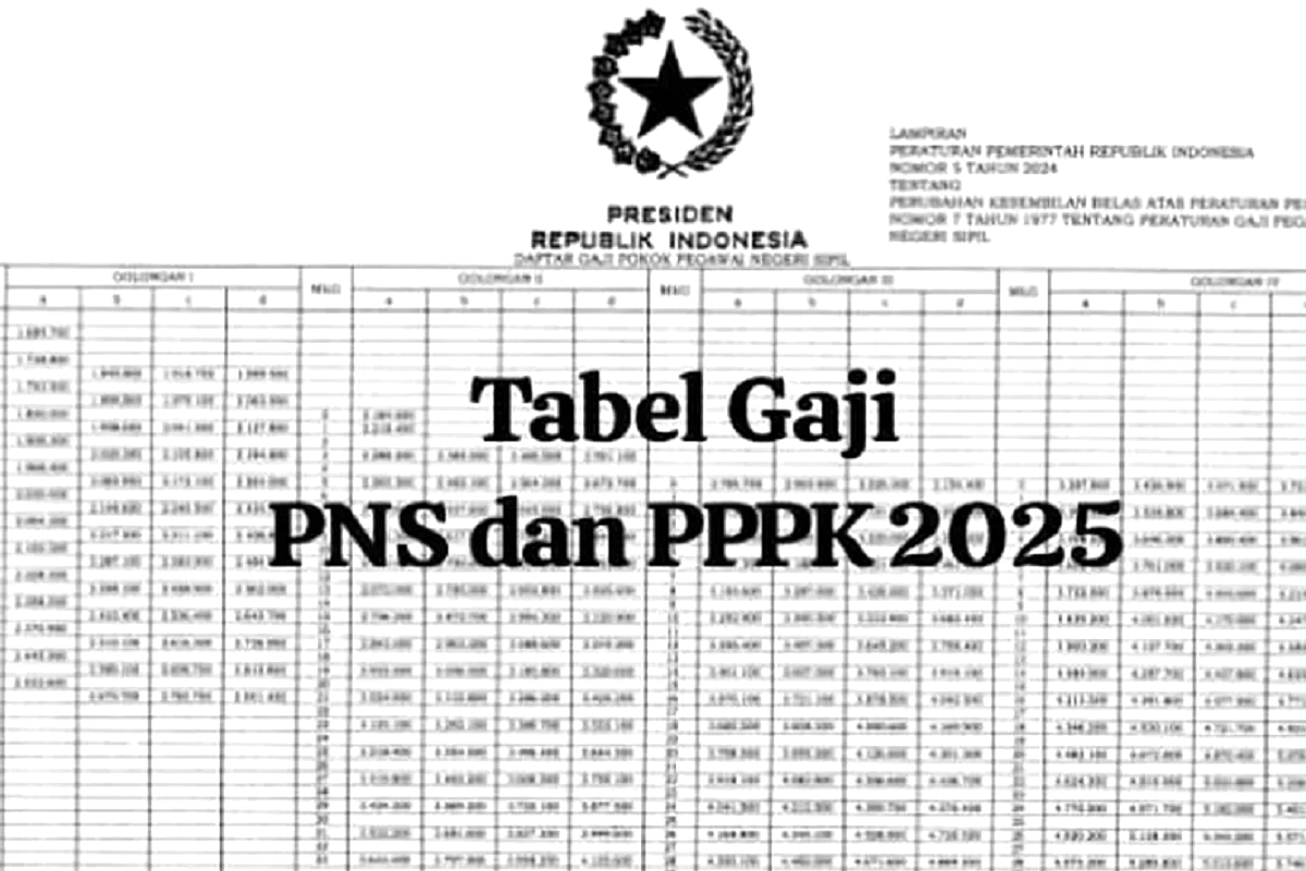 Pemerintah Siapkan Tiga Skema Bayar Gaji PPPK Daerah