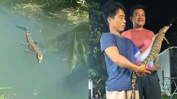 Pemuda Bandung Hilang Diterkam Buaya di Sungai Banyuasin