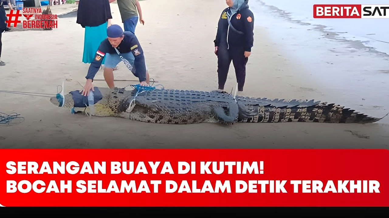 Pemuda Bandung Tewas Diseret Buaya Saat Perbaiki Perahu