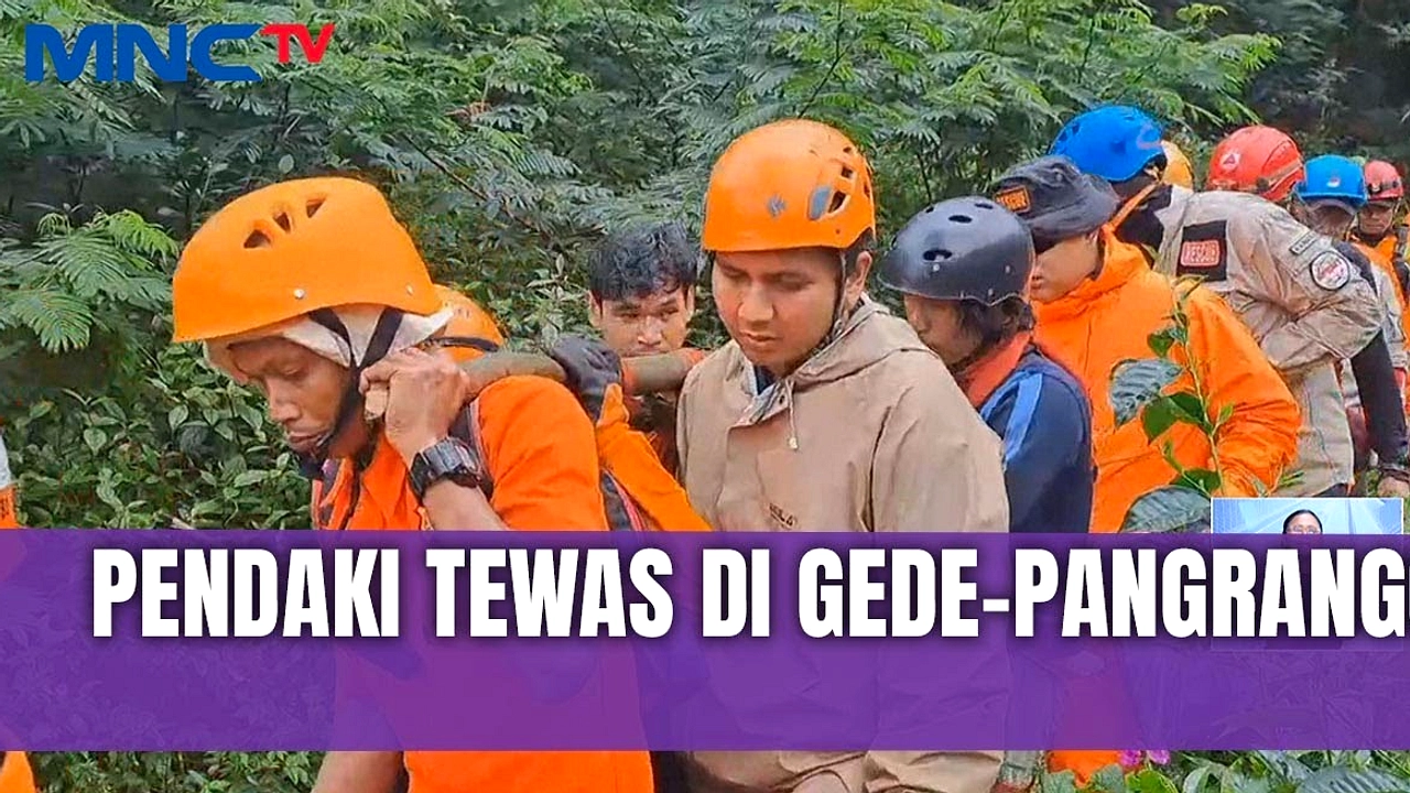 Pendaki 145 Kg Dievakuasi 6 Jam dari Gunung Gede