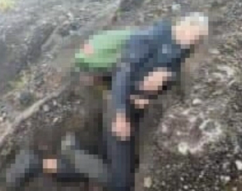 Pendaki 49 Tahun Meninggal di Gunung Leuser Akibat Hipotermia