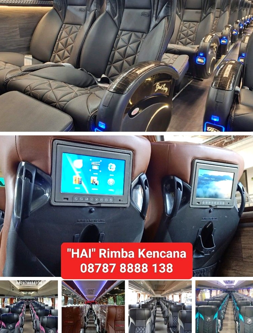 Penumpang Hindari Kursi Tengah Bus: Kenyamanan dan Ruang