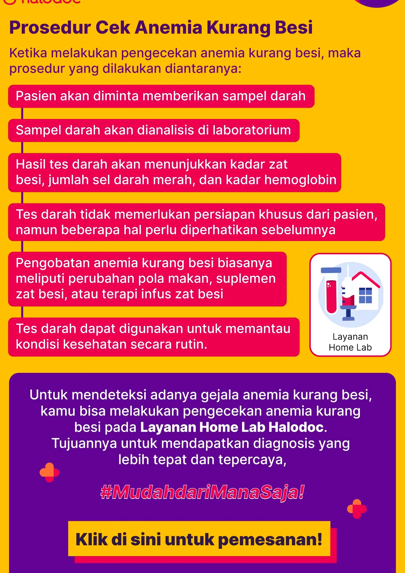 Penyerapan Zat Besi Kunci Cegah Anemia, Bukan Sekadar Asupan