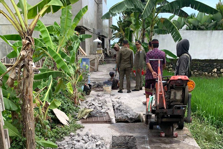 Penyu Lekang Terdampar di Irigasi, Evakuasi ke Penangkaran