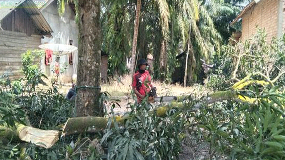 Peralihan Listrik MEP ke PLN Lampaui Target, Capai 102%