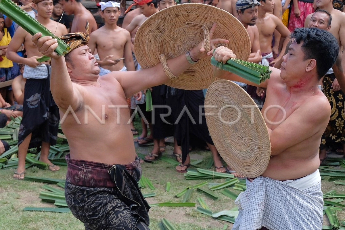 Perang Pandan Tenganan: Tradisi Daya Tarik Wisatawan