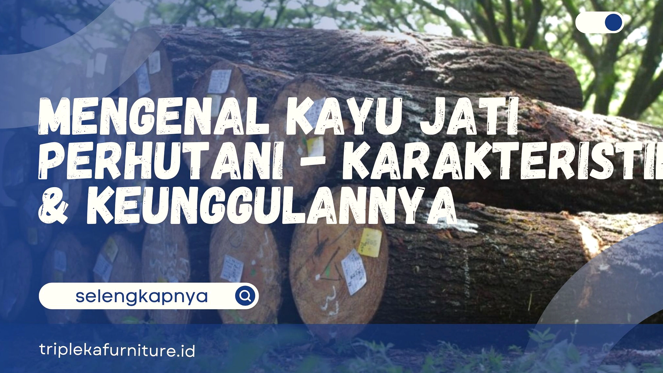 Perhutani Buka Opsi Damai Kasus Kayu Jati Petani Bojonegoro