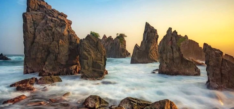Peselancar Selamatkan Wanita dari Serangan Hiu di Pantai Coogee
