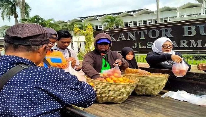 Petani Bagikan 56 Ton Nektarin Gratis Akibat Sengketa