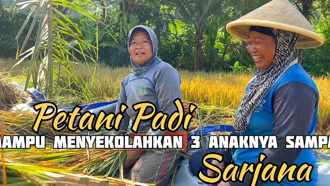 Petani Indramayu Bangga Garap Sawah, Biayai Kuliah Anak Hingga Sarjana
