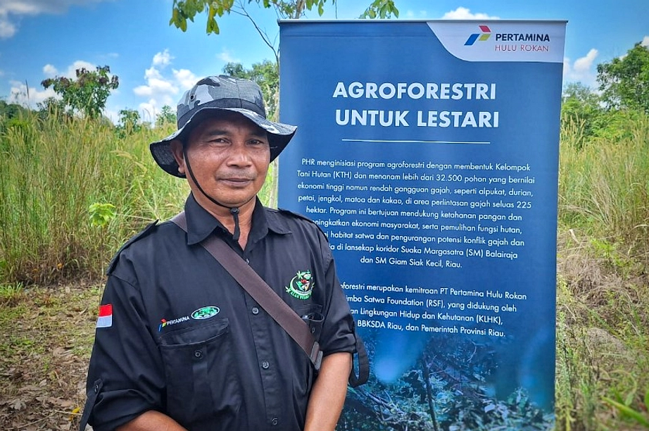 Petani Tebo Ganti Sawit Jadi Kopi, Hindari Gajah Tigapuluh