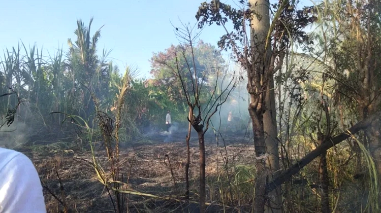 Petani Tebu di Kediri Tewas Terbakar di Lahannya