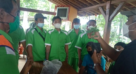 Phapros Balikkan Kerugian Jadi Laba Rp27,44 Miliar 2025