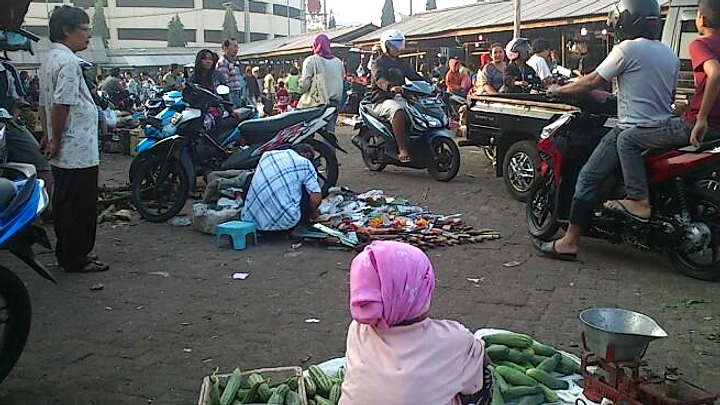 Piton 2 Meter Ditemukan di Pasar Mangga Dua, Surabaya