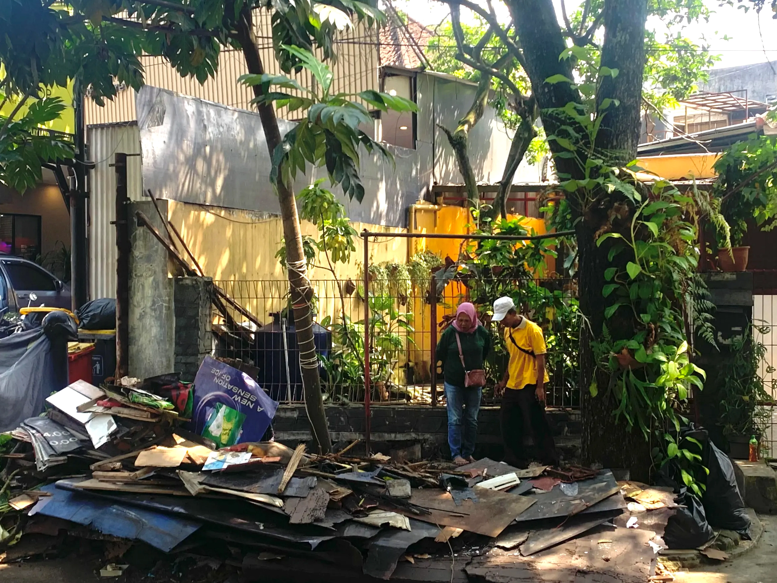 Pohon Keropos di Bandung Bikin Warga Resah