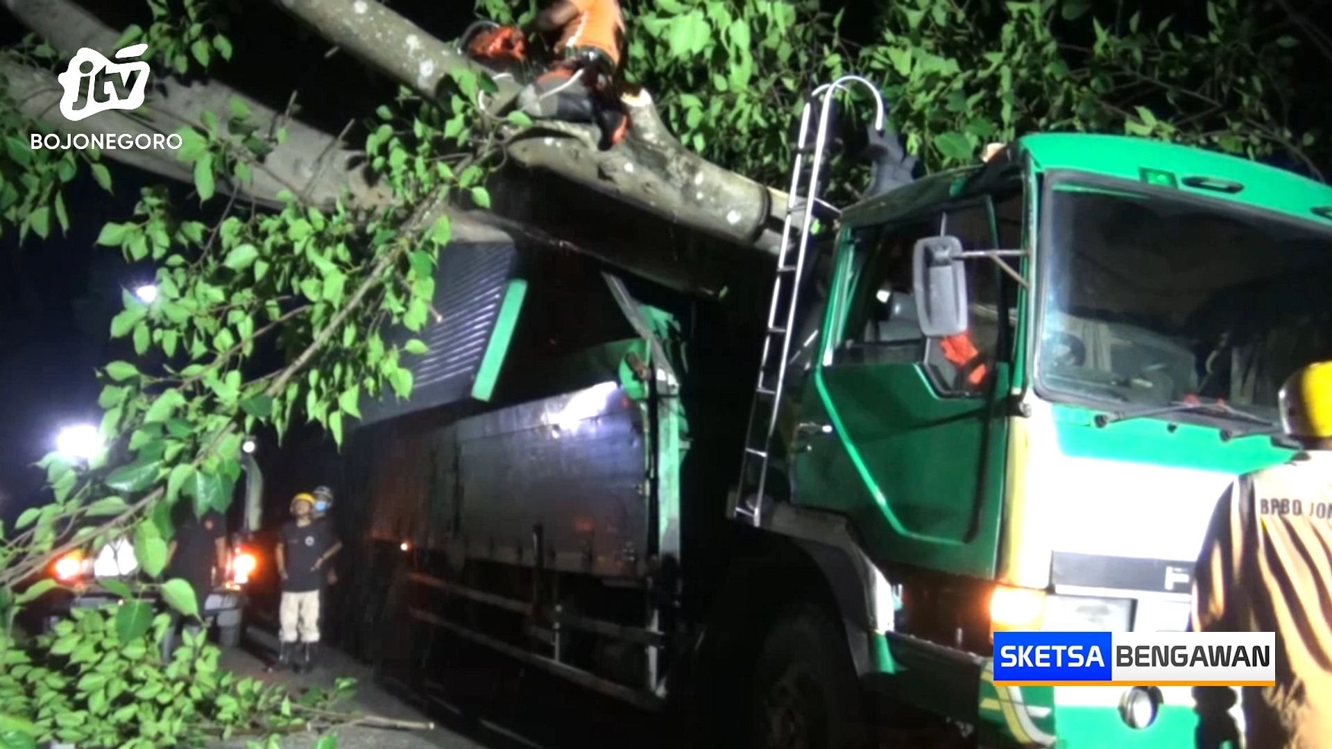 Pohon Tua Tumbang Timpa Truk di Boyolali, Akses Jalan Sempat Lumpuh