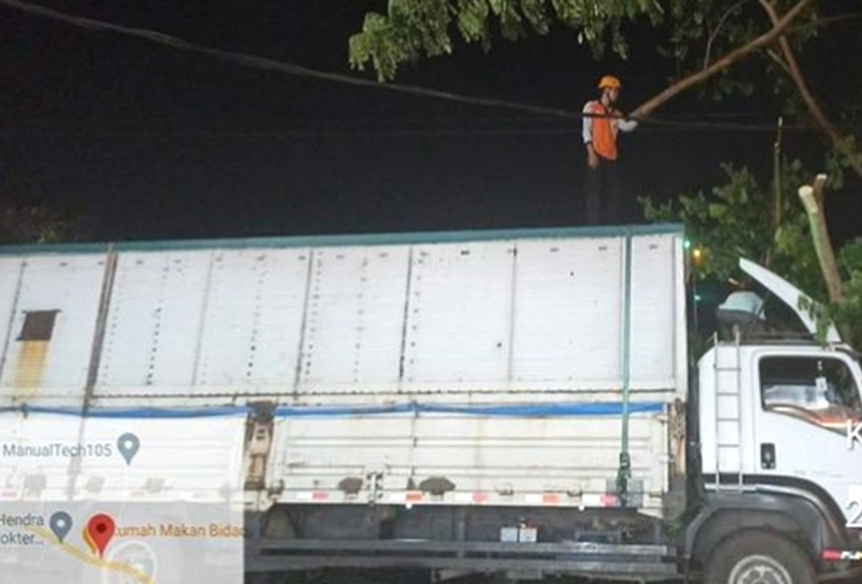 Pohon Tumbang Blokir Jalan Denpasar‑Gilimanuk, Bersih 1 Jam