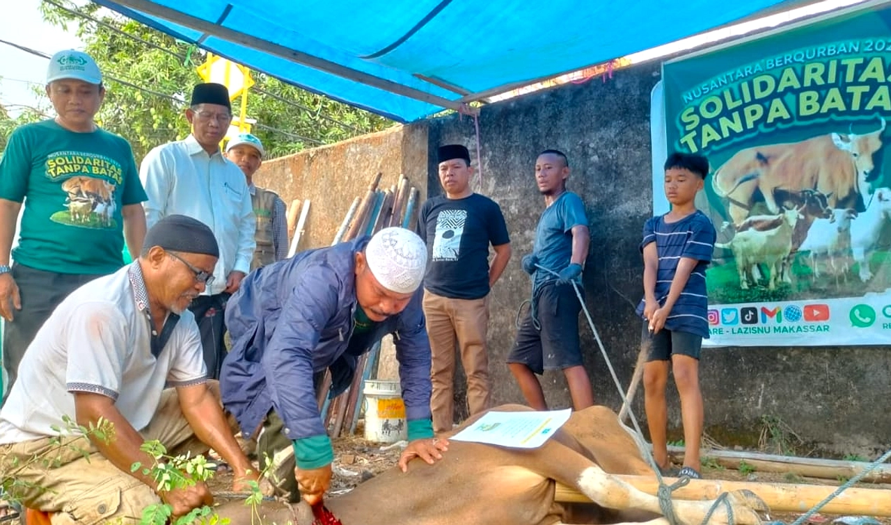 Prabowo Kirim 25 Sapi Kurban ke Sulawesi Selatan Sulsel